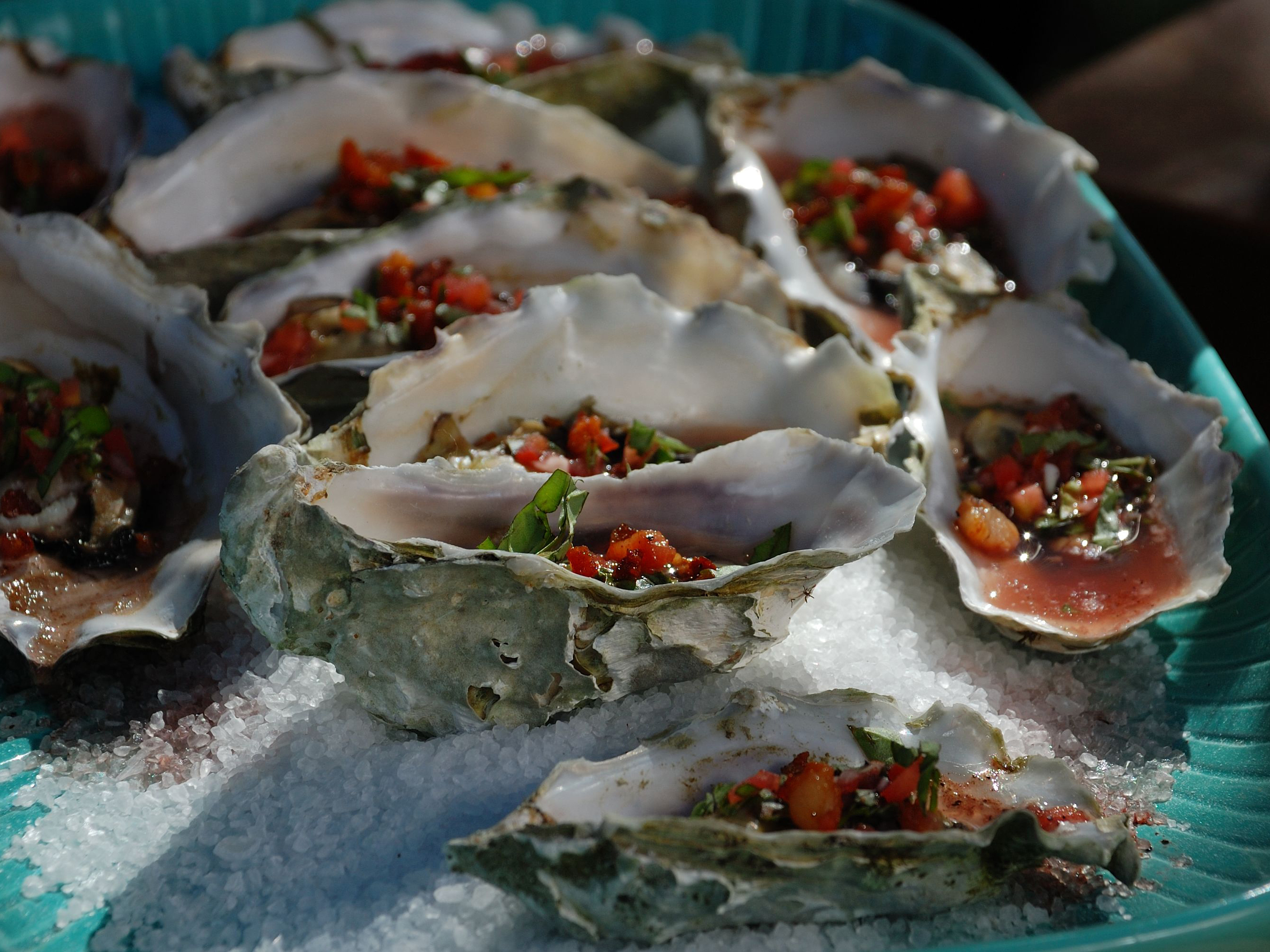 https://www.foodnetwork.com/content/dam/images/food/fullset/2012/2/7/0/QF0102_wood-grilled-oysters-02_s4x3.jpg