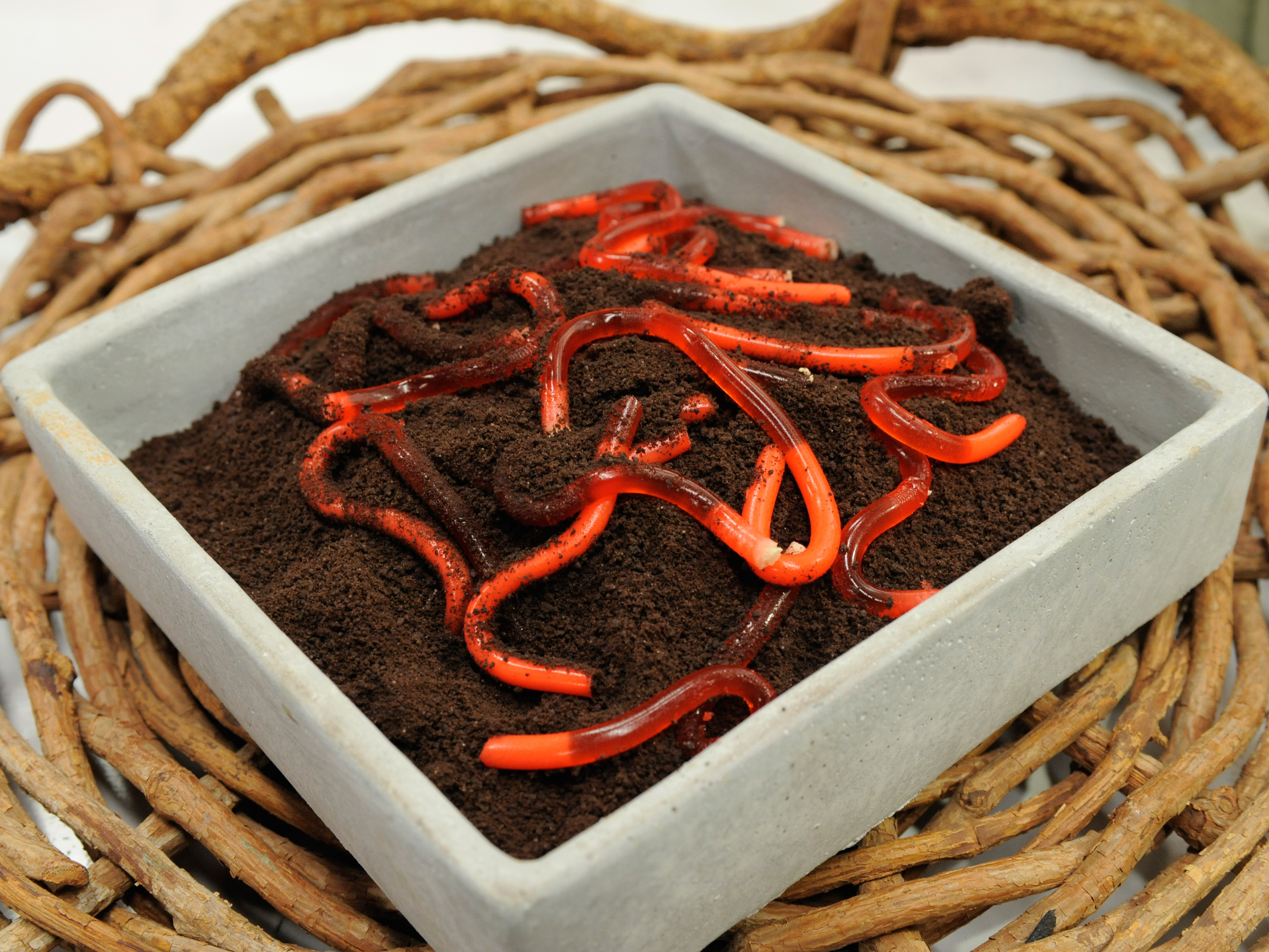 Jelly Worms in Dirt Recipe