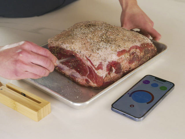 Best Meat Thermometers 2024 - Forbes Vetted