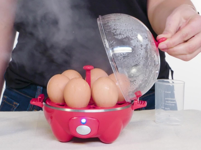 Electric Egg Cooker Auto Shut Off Hard Boiled Egg Maker Measuring Cup for 7  Eggs